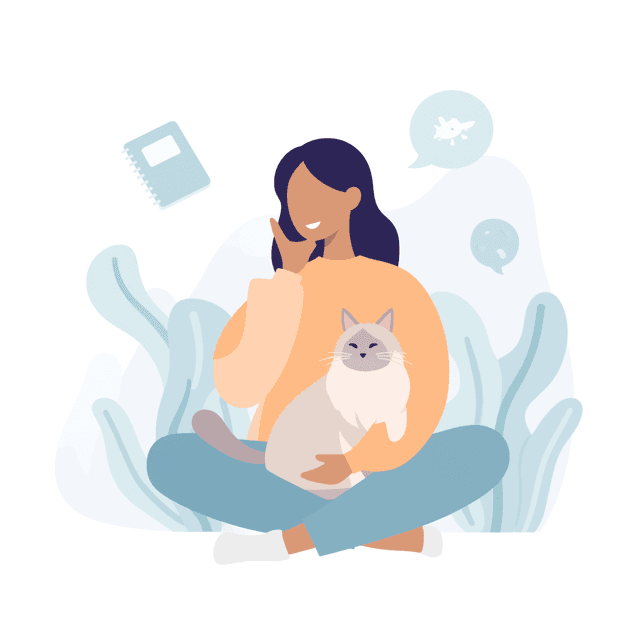 illustration Example