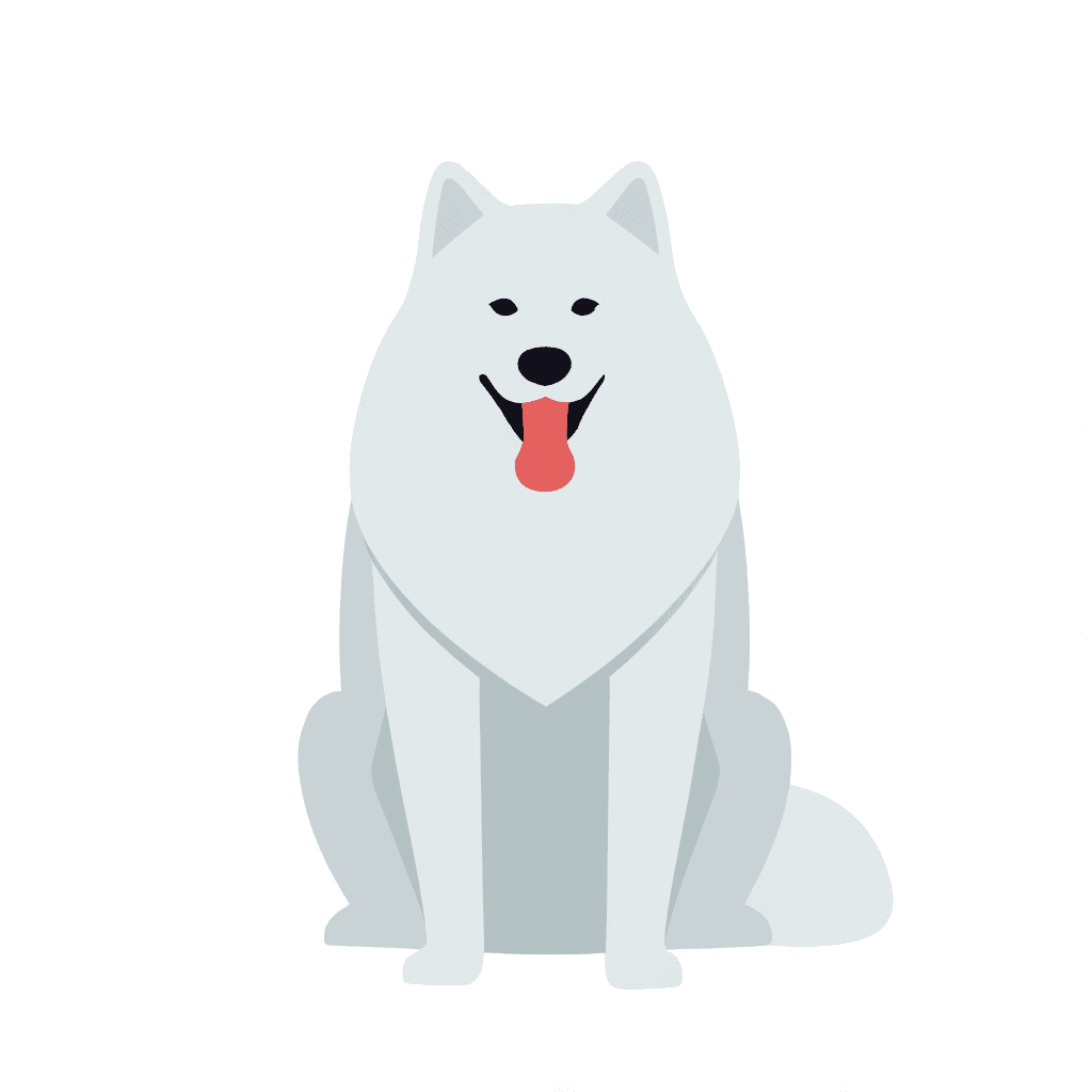 Illustration of Samoyed Facing Front