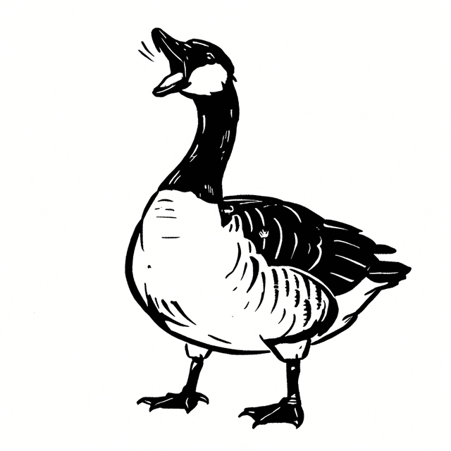 illustration Example